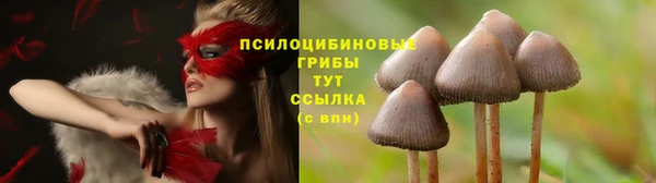 прущие крисы Алексеевка