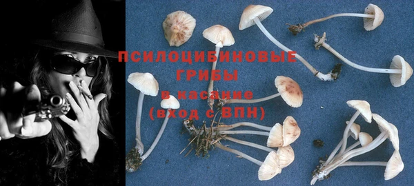 эйфоретик Наволоки
